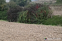 VBS_7555 - Andare lontano, oltre i campi da arare... e ancora più in là